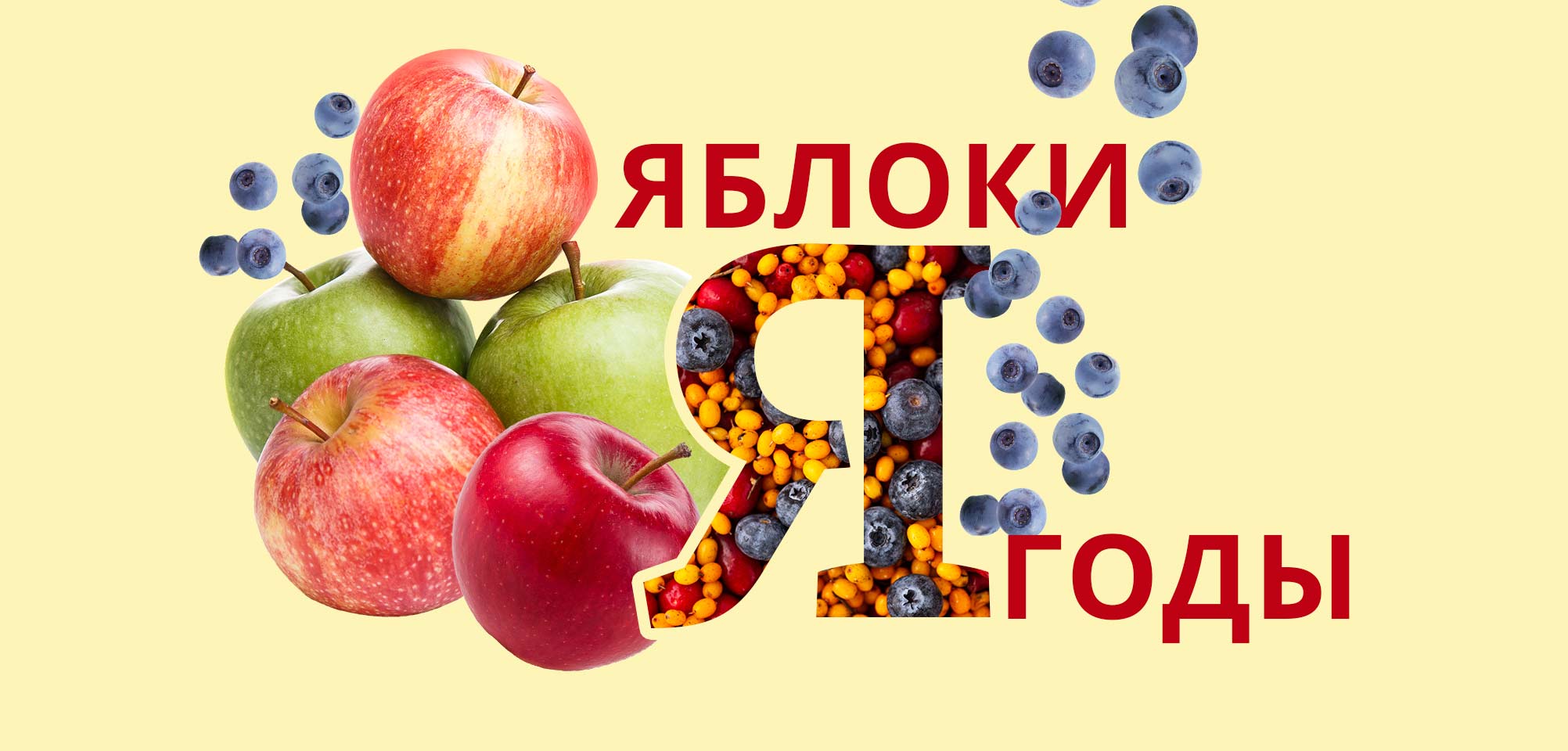 азбука КуулКлевер Яблоки Ягоды