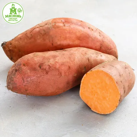 Картофель Батат