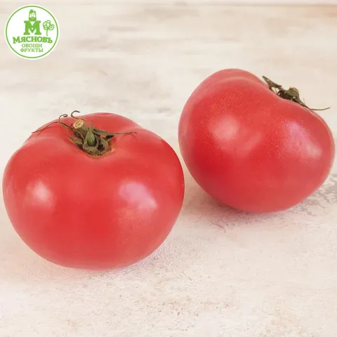 Томаты розовые Узбекистан