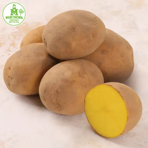 Картофель