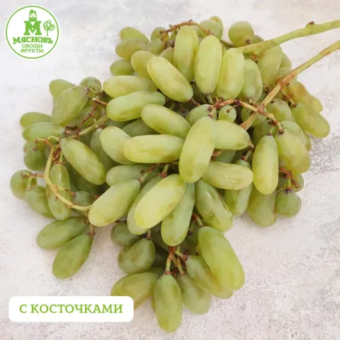 Виноград белый Дамские пальчики