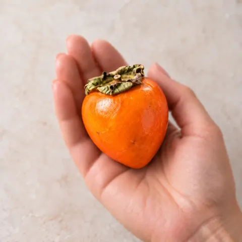 Хурма Свечка
