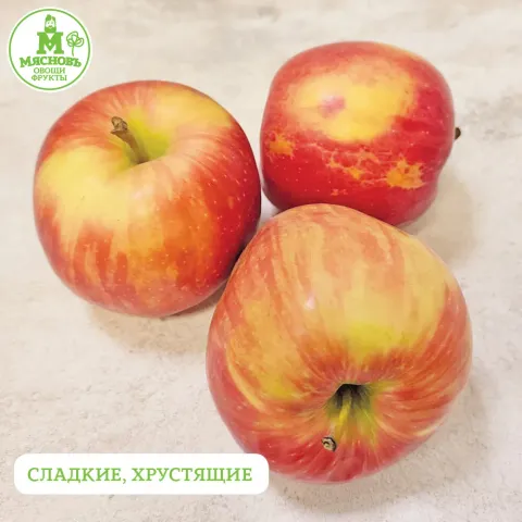 Яблоки Хани Крисп Сады Белогорья