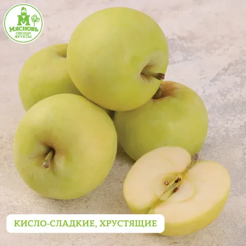 Яблоки Белый налив