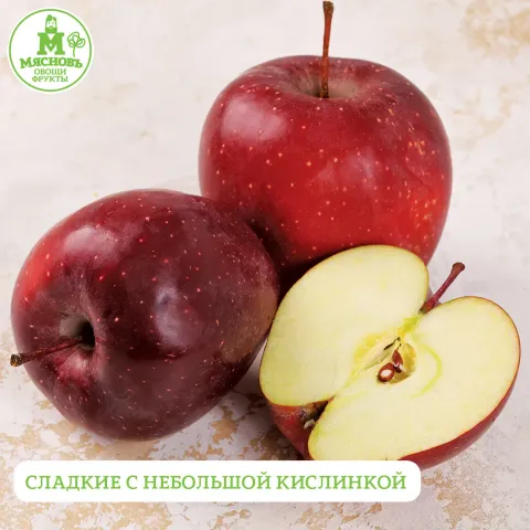 Яблоки Черный Принц