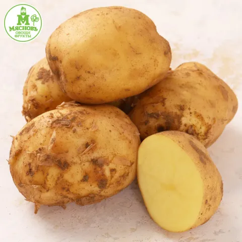 Картофель Астрахань