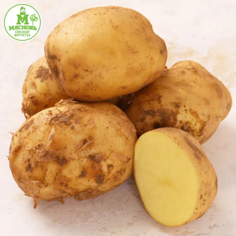 Картофель Астрахань