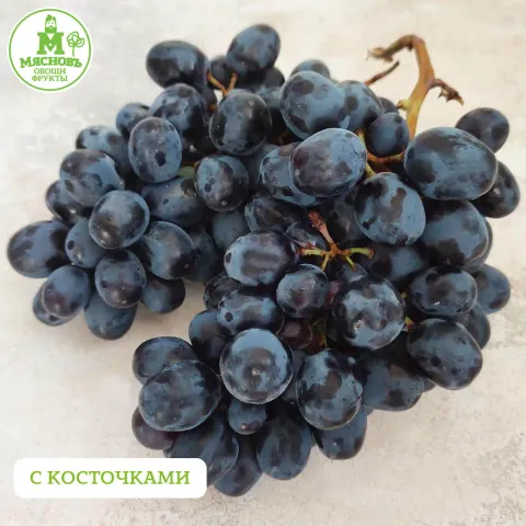 Виноград черный Мерседес