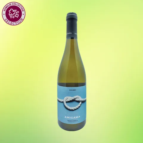 вино АМИГАМА МАКАБЕО 11.5-14.5% 0.75, белое, сухое, Испания