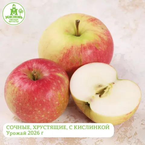 Яблоки Рождественские Сады Нижегородской области