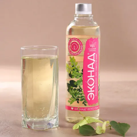 Функциональный напиток Эконад без сахара Вкус счастья среднегазированный 0,5л