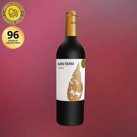вино АЛАЙЯ ТЬЕРРА 2023 15% 0.75, красное, сухое, Испания