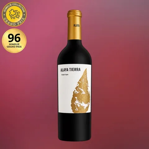 вино АЛАЙЯ ТЬЕРРА 2023 15% 0.75, красное, сухое, Испания