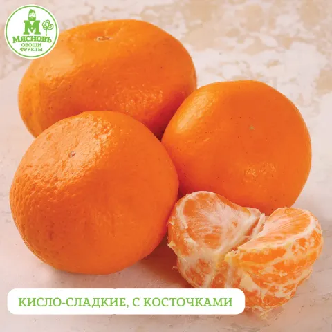 Мандарины ЮАР