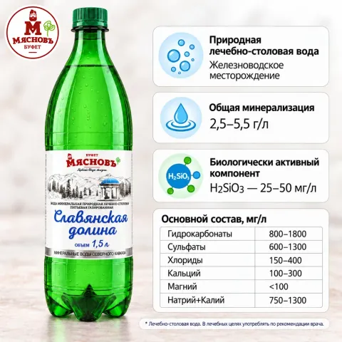 Вода минеральная природная лечебно-столовая Славянская долина газированная 1,5л