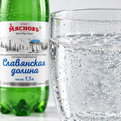 Вода минеральная природная лечебно-столовая Славянская долина газированная 1,5л