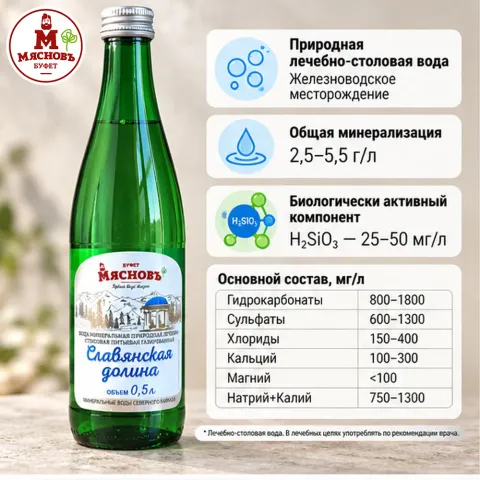 Вода минеральная природная лечебно-столовая Славянская долина газированная 0,5л